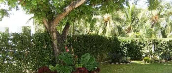 jardin finca girardot